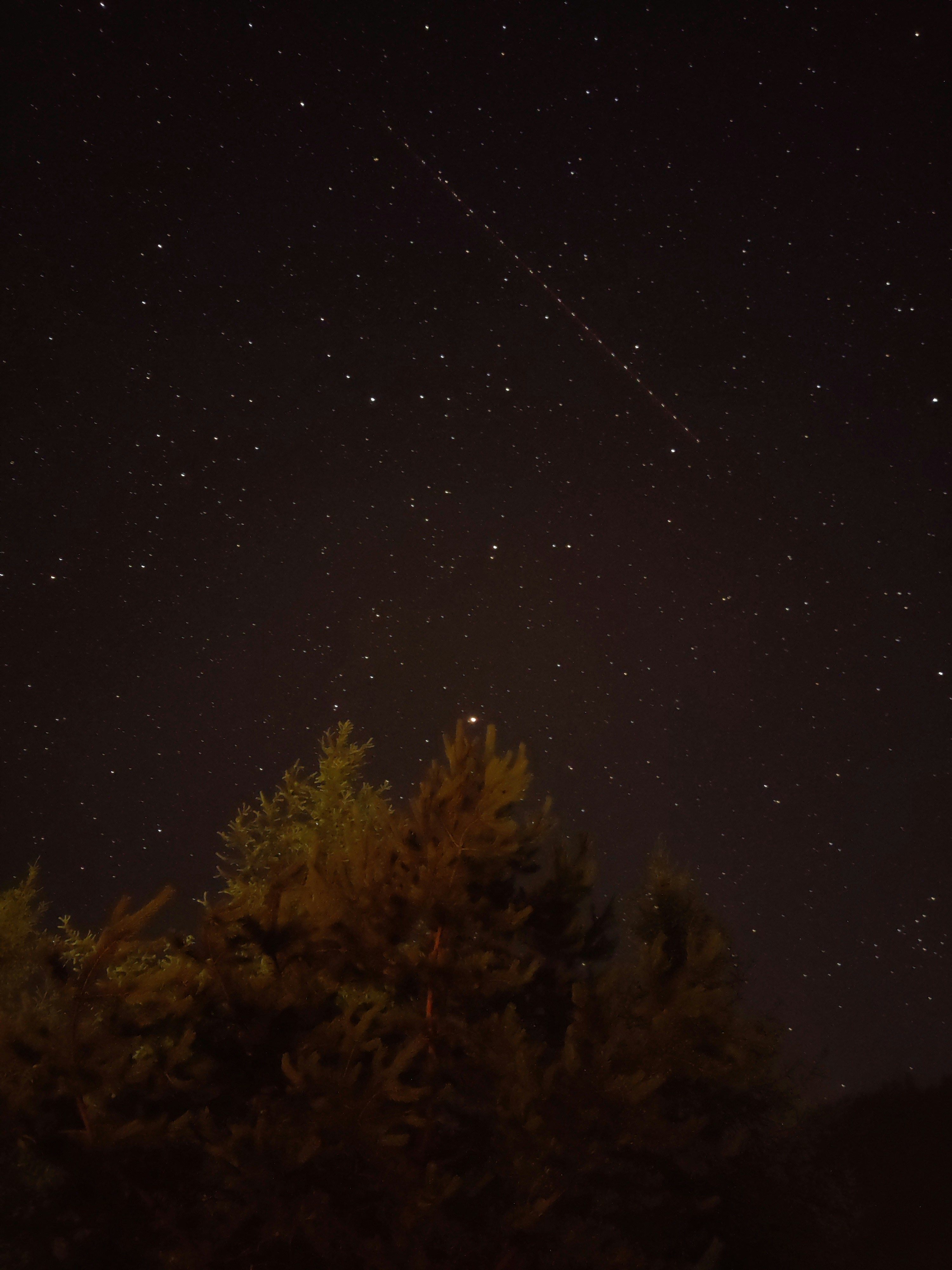 starlink-photo.jpg