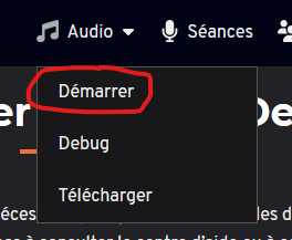 Lancement du logiciel depuis le site